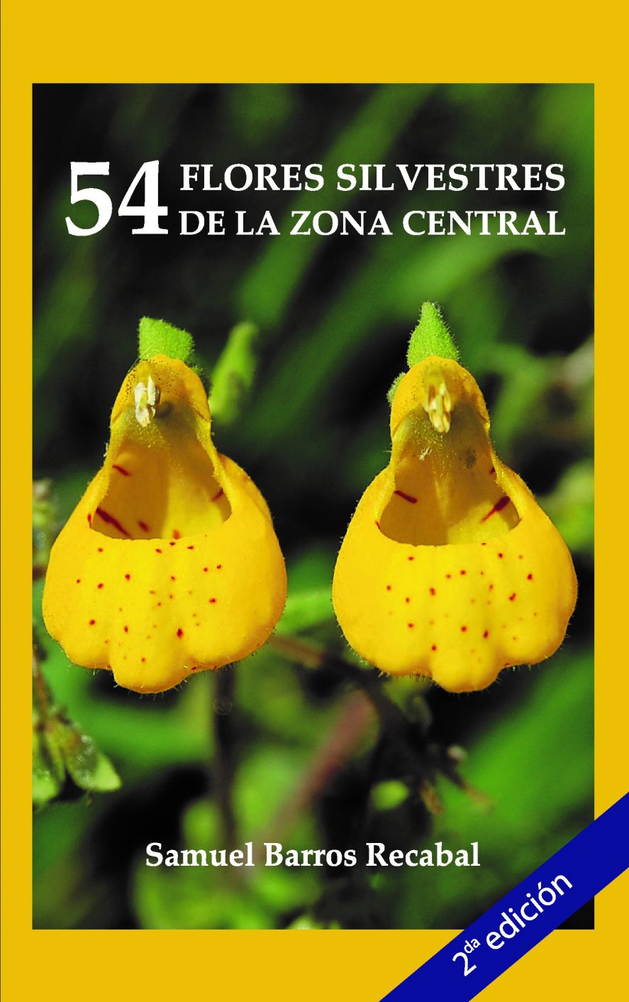 54-Flores-silvestres-de-la-zona-central-887x1412